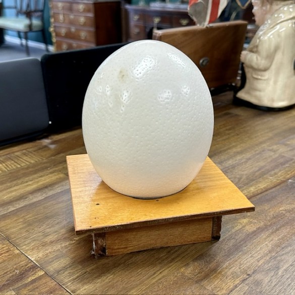 Osterich Egg